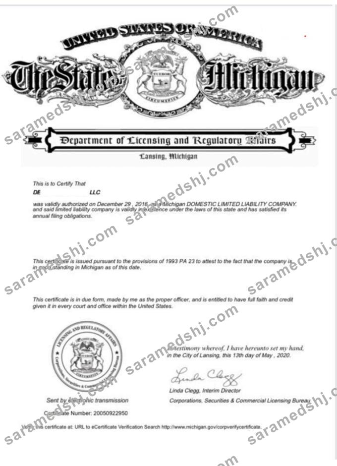 USA Michigan certificate of good standing